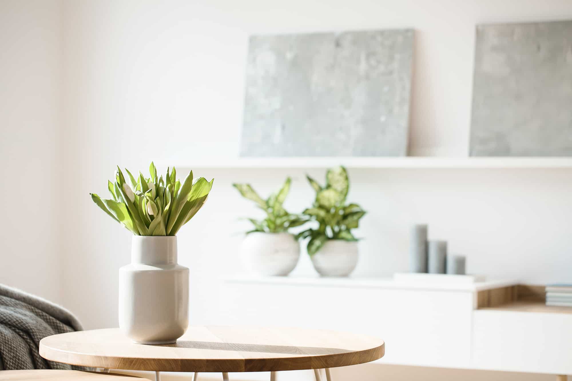 Fresh flowers in white vase